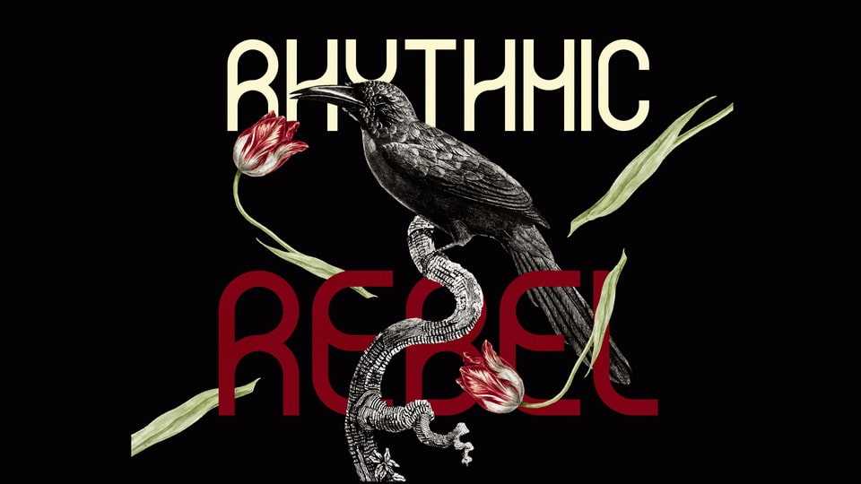 Rhythmic Rebel Font › Fontesk