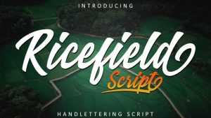 Ricefield Script › Fontesk