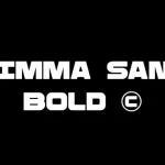 Rimma Bold Sans Serif Font
