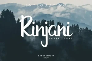 Rinjani Script Font
