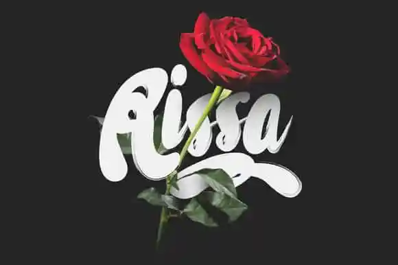 Rissa Typeface + Bonus