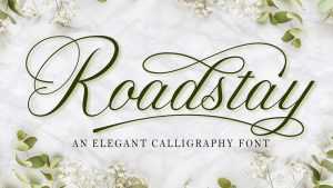 Roadstay Script Font › Fontesk