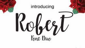 Robert Script Font › Fontesk