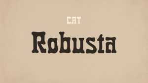 Robusta Font › Fontesk