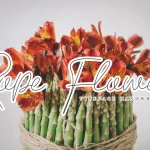 Rope Flower Script Font