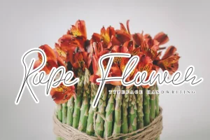 Rope Flower Script Font