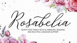 Rosabelia Script › Fontesk