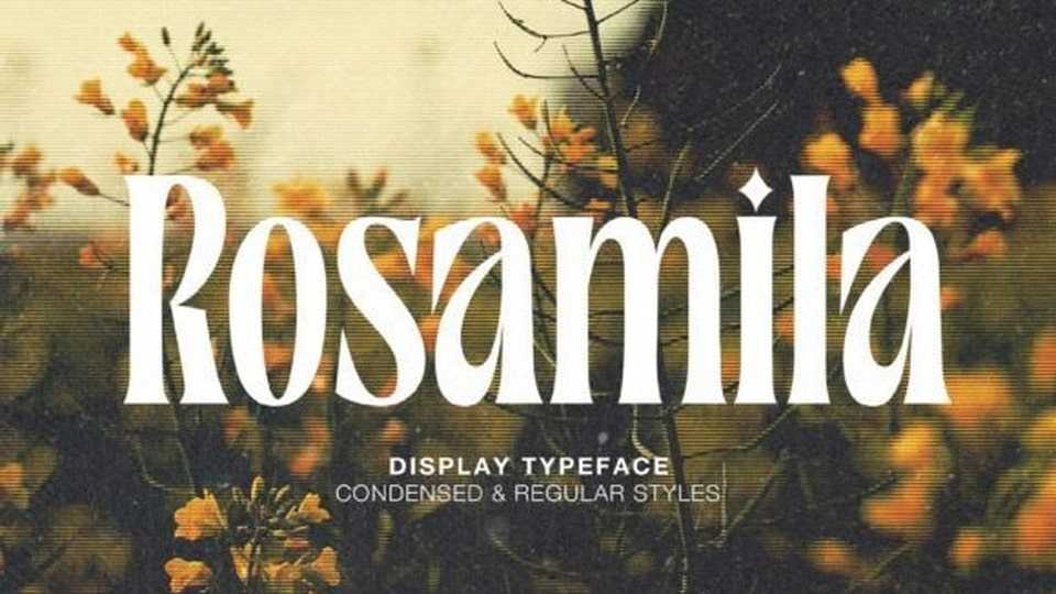 Rosamila Font › Fontesk