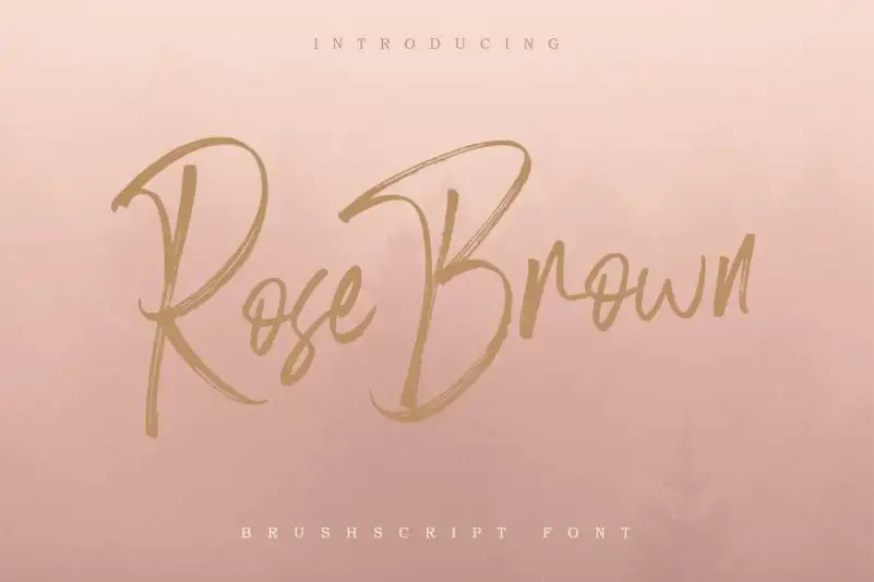Rose Brown Brush Font