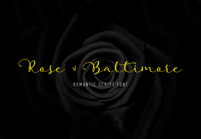 Rose Of Baltimore Font