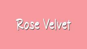 Rose Velvet Font › Fontesk
