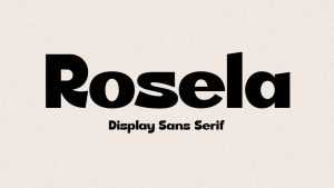 Rosela Font › Fontesk