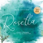 Rosetta Calligraphy Font