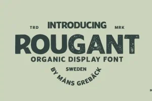 Rougant Display Font