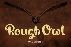 Rough Owl Font