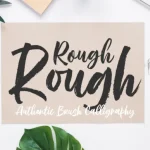 Rough Rough Brush Font