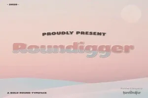 Roundigger Sans Serif Font