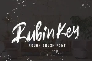 Rubin Key Brush Font