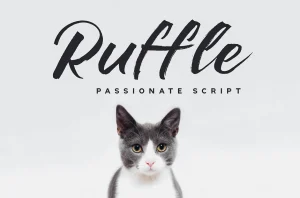 Ruffle Brush Font