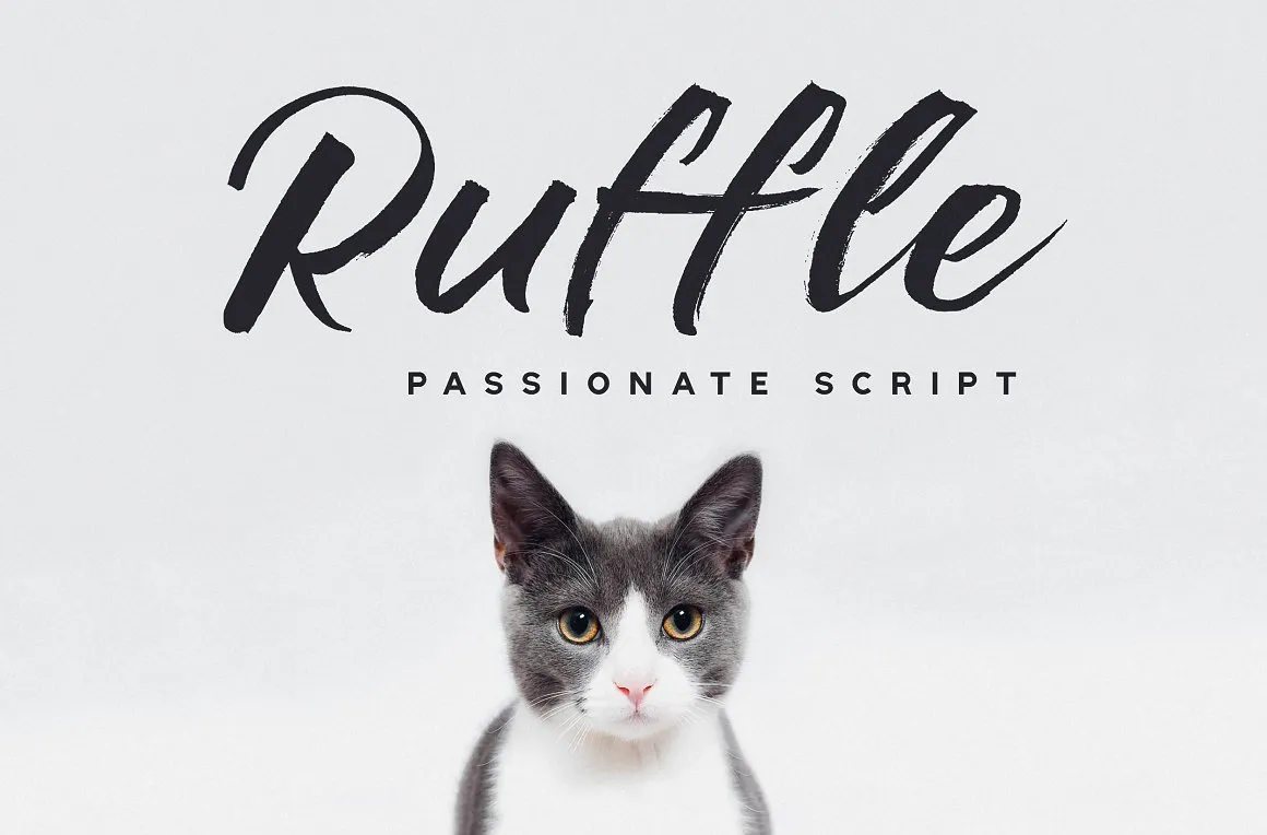 Ruffle Brush Font