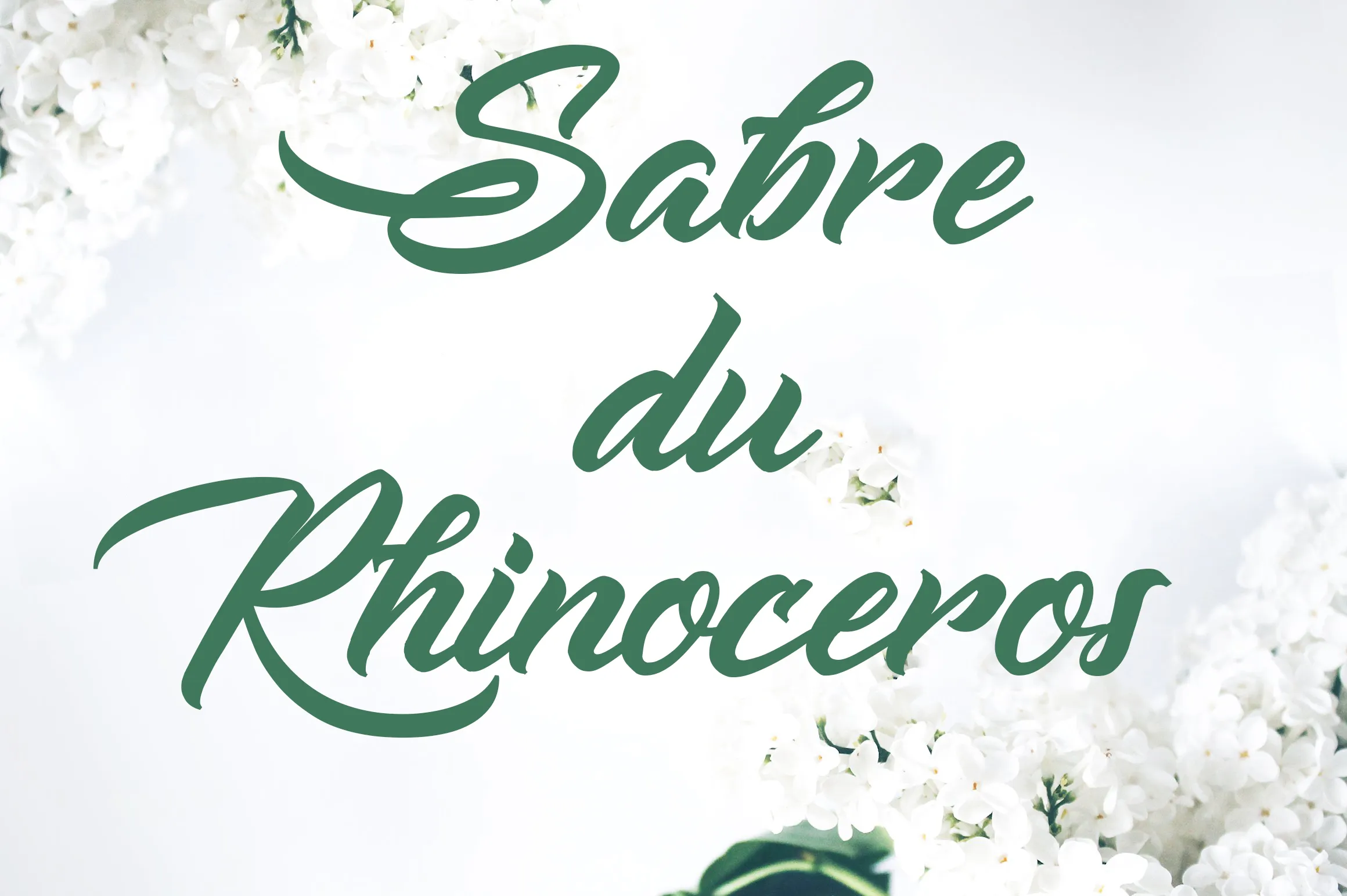 Sabre du Rhinoceros Font