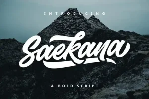 Saekana Bold Script Font