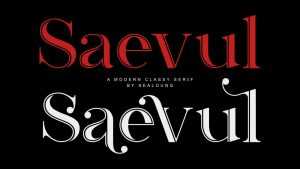 Saevul Font › Fontesk