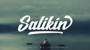Salikin Script Font › Fontesk
