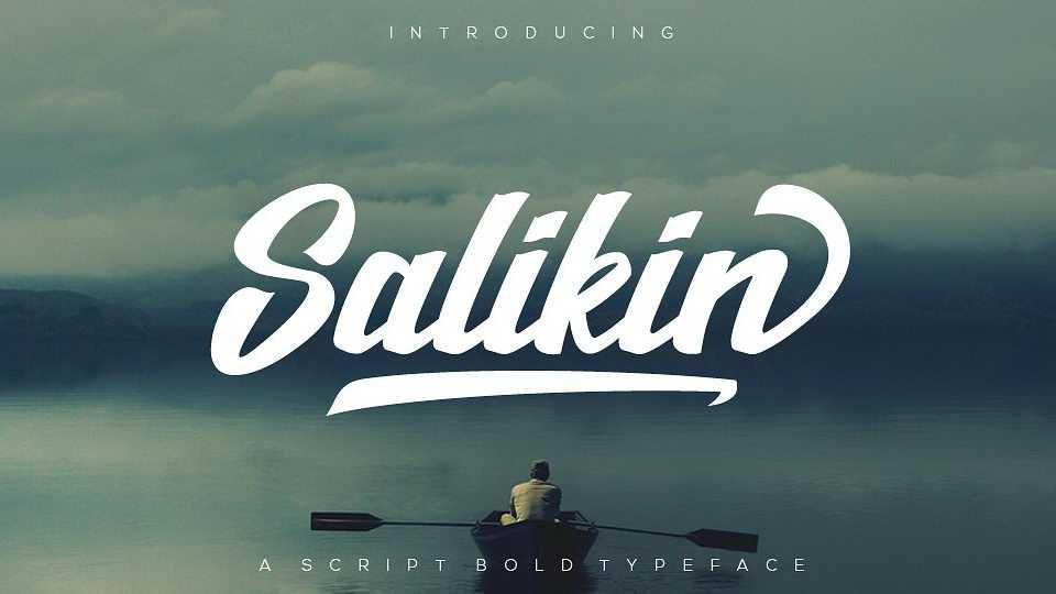 Salikin Script Font › Fontesk