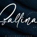 Sallina Script Font - Fonte Grátis Sallina Script Font