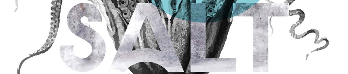 Salt Clean Minimalistic Sans Serif Font
