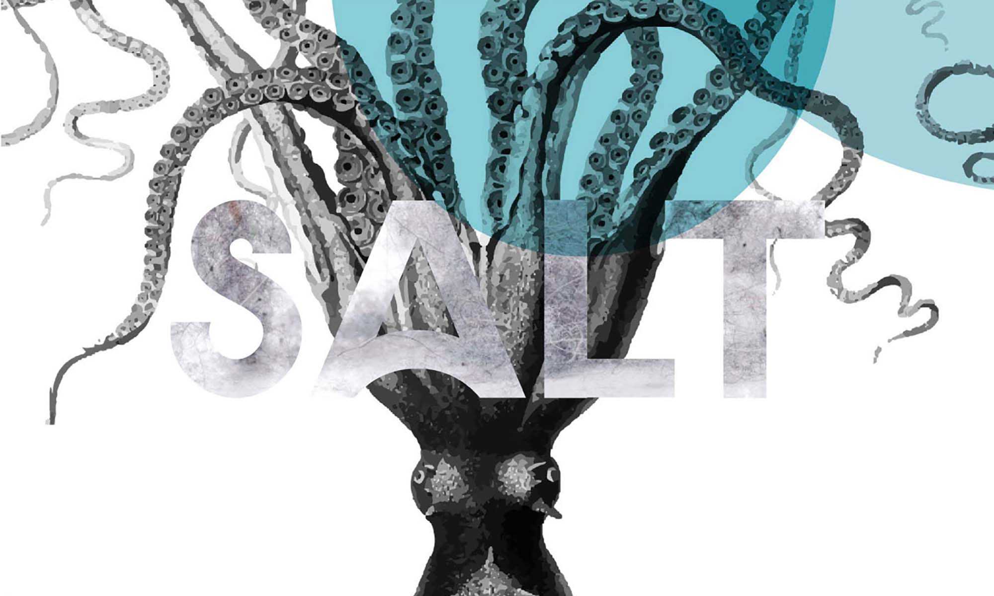 Salt Clean Minimalistic Sans Serif Font