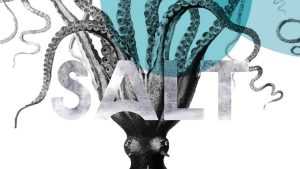 Salt Font › Fontesk