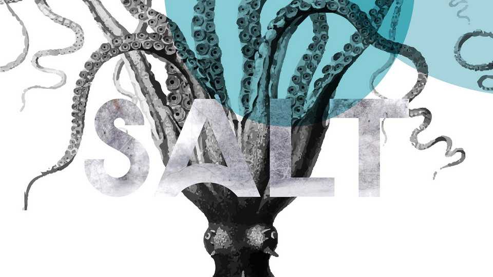 Salt Font › Fontesk