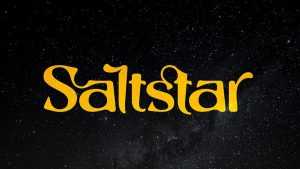 Saltstar Font › Fontesk