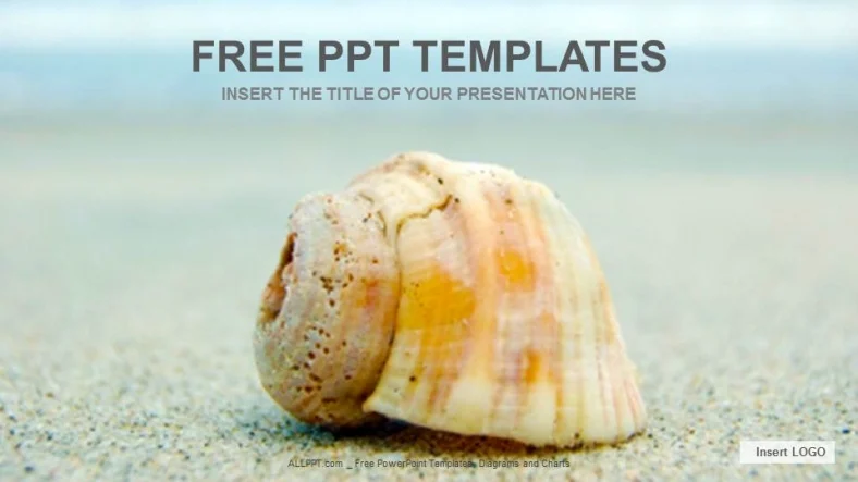 Sand Sell Nature PowerPoint Templates