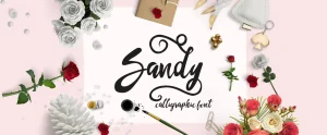 Sandy Font