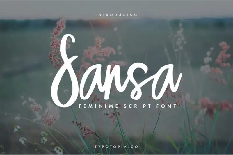 Sansa Script Font