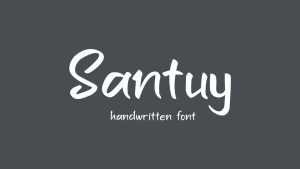 Santuy Font › Fontesk