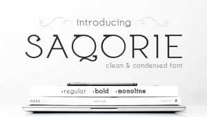 Saqorie Font › Fontesk