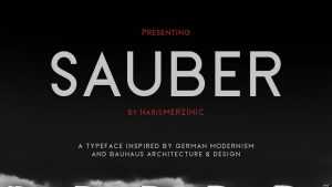 Sauber Typeface › Fontesk