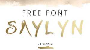 Saylyn Font › Fontesk