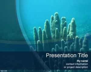 Scuba Diving PowerPoint Template