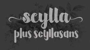 Scylla Script Font › Fontesk