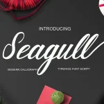 Seagull Script Font