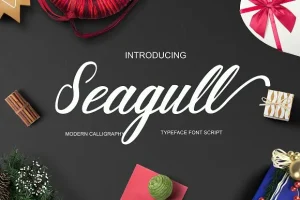 Seagull Script Font