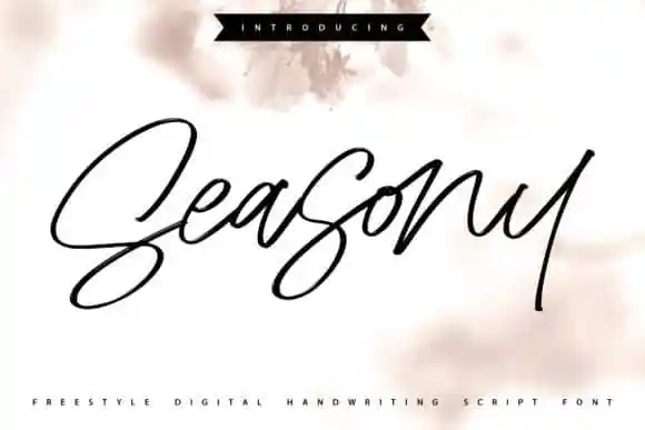 Seasony Script Font