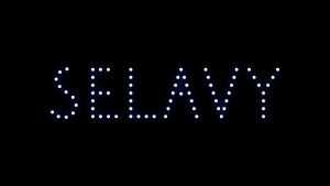 Selavy Font › Fontesk