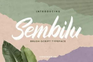 Sembilu Brush-Script Font