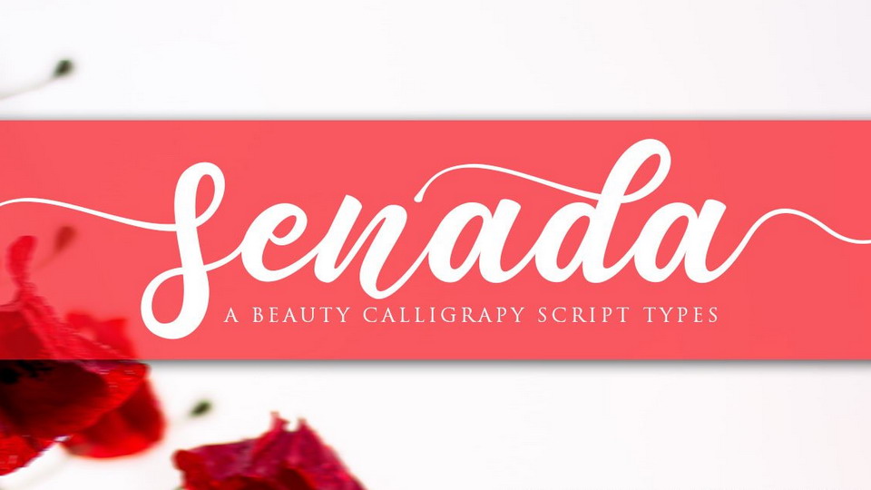 Senada Font › Fontesk